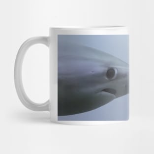 Shy Shark Meme Mug